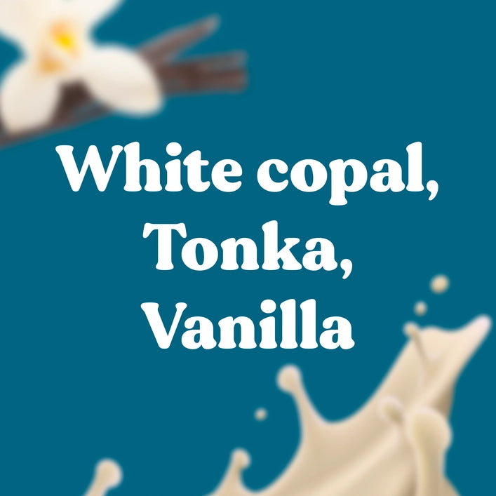 Bloom | Natural French Incense | Tonka / Vanilla