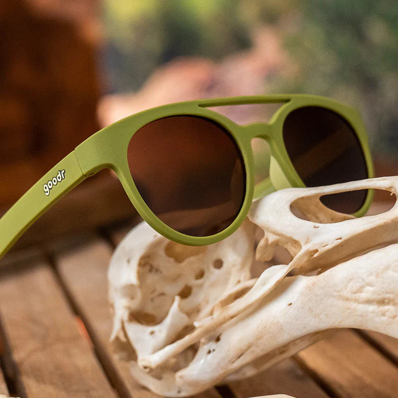 Goodr | Fossil Finding Focals